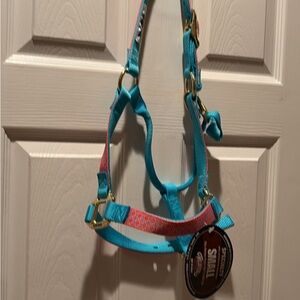 Turquoise and Red Horse Halter
